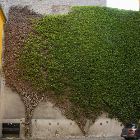 The Citadel By Daniel&jacob's * 코펜하겐